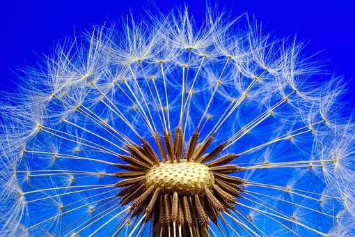 È primavera! Tempo di sane abitudini